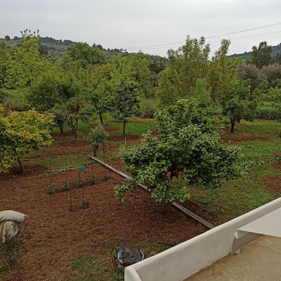 Εξοχική Κατοικία - Cottage Τίνα Liri Ngoại thất bức ảnh